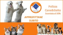 PERCHE' ASSICURARE IL NOSTRO AMICO A 4 ZAMPE